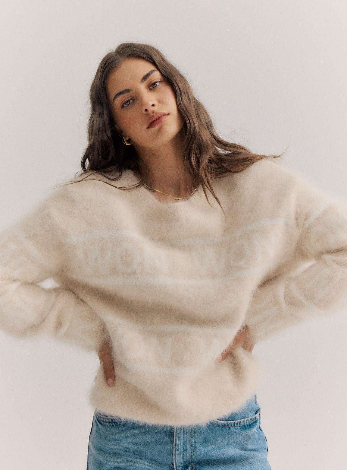 WON Signiture Jumper
