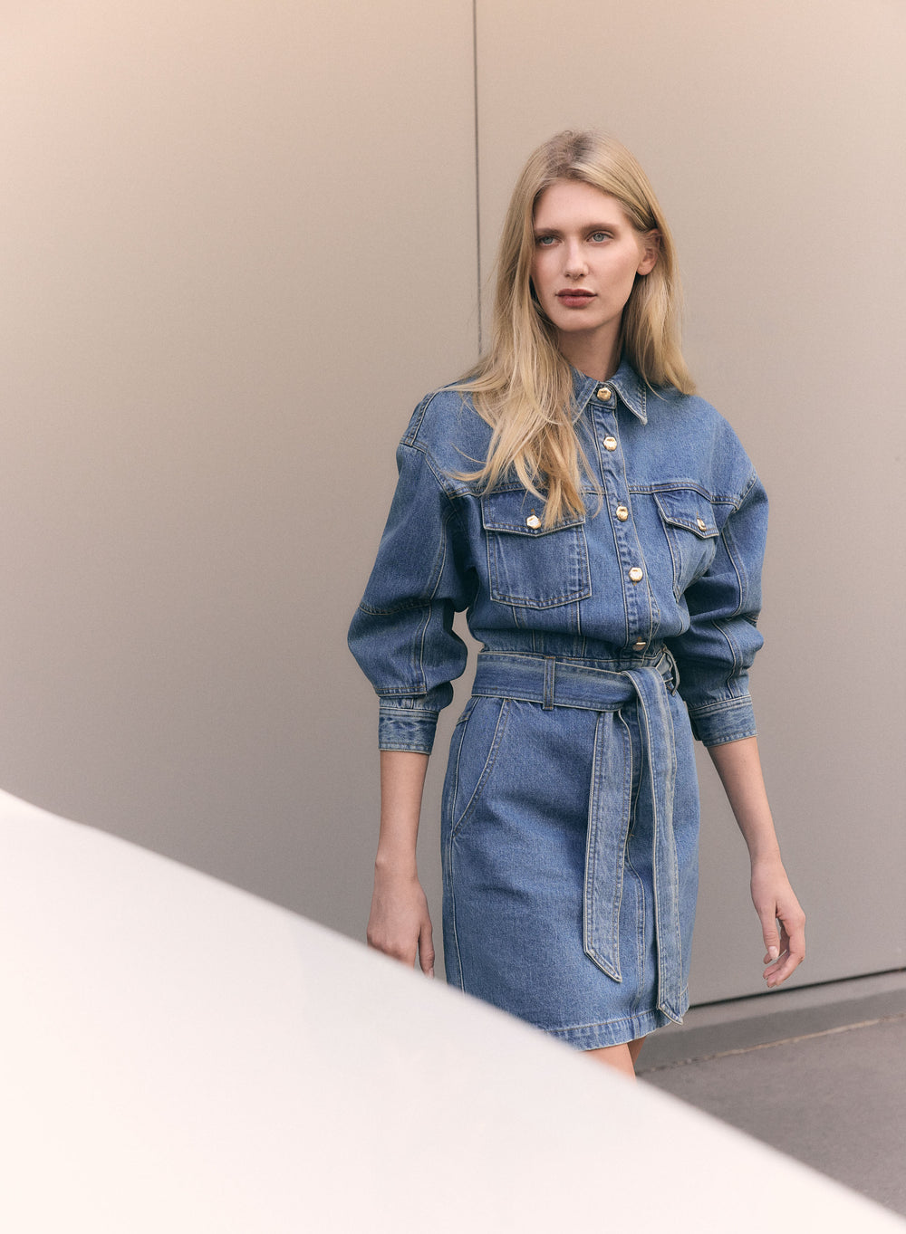 Terminal Denim Dress