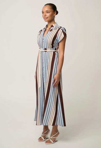 Cattleya Maxi Dress - Iridescent Stripe