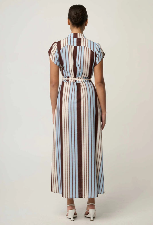 Cattleya Maxi Dress - Iridescent Stripe